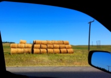 Hay Now! in WY